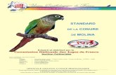 STANDARD CONURE DE MOLINA - Ornithologies.fr · Version V2.0 – 01/11/2015 . Présentation de l’espèce. Taxonomie . Dans la systématique. 1, la Conure de Molina est classée
