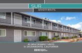 SUR - LoopNet · SUR APARTMENTS SUR APARTMENTS SUR APARTMENTS SUR APARTMENTS 2 T he information contained herein is strictly confidential, furnished solely for the purpose of considering