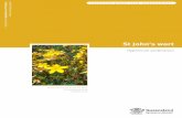 St John's wort Risk Assessment · Invasive plant risk assessment: St John's wort (Hypericum perforatum) In the Pacific north-west, St John’s wort occurs in a range of habitats and