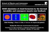 MHD simulation of cloud formation by the thermal ... · MHD simulation of cloud formation by the thermal instability and consequent massive star feedback Chris Wareing, J. Pittard,