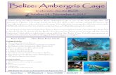 Belize: Ambergris Caye - Amazon Web Services · Package Includes: Roundtrip airfare from Denver ... Roundtrip transfers Belize city to Ambergris Caye All hotel and government taxes