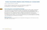 EAU GUIDELINES ON PENILE CANCER - Uroweb · Careful palpation of both groins for enlarged inguinal lymph nodes must be part of the initial physical examination of patients with penile