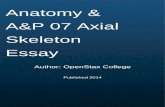 Cover Page Anatomy & A&P 07 Axial Skeleton Essay · The facial bones support the facial structures, and form the upper and lower jaws, nasal cavity, nasal septum, and orbit. There