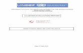 CLUSTER EVALUATION REPORT - United Nations · This report is the cluster evaluation of 12 UNDEF-supported projects related to the media. It concerns projects that either focused on