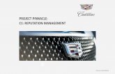PROJECT PINNACLE: C1: REPUTATION …...company. ONLINE REPUTATION MATTERS CADILLAC CONFIDENTIAL STANDARD: C-1: REPUTATION MANAGEMENT APPLICABLE FOR: TIER 1 Online and social media