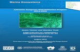 Adelaide Seagrass Rehabilitation Project: 2014-2016 ... Adelaide Seagrass Rehabilitation Project: 2014-2016