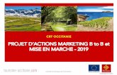 BtoB Nicole copie - Tourisme Occitanie Pro...àWorkshop France : du 27 au 29 octobre 55 prescripteurs allemands invités en Ile de France –40 exposants prévus Crt a pré-réservé