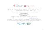 Economic Vulnerability and Adaptation to Climate Hazards ... Economic Vulnerability and Adaptation to