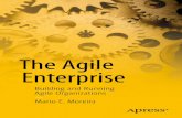 The Agile Enterprise - InfoQ.com · The Agile Enterprise 3 The second innovation this book provides you is the customer-value-driven (CVD) enterprise, the CVD framework, and its corresponding