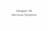 Chapter 49 Nervous Systems - biolympiads.com · Central Nervous System (information processing) Peripheral Nervous System Sensory receptors Internal and external stimuli Autonomic