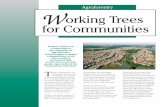Working Trees for Communities · 2018-01-08 · Health & Safety. Working Trees. help to conserve and protect our natural resources. In . communities they help improve soil, water