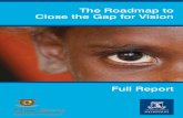 The Roadmap to Close the Gap for Vision...4.2 Primary eye care as part of comprehensive primary health care 36 4.2.1 Enhancing eye health capacity in primary health services 36 4.2.2