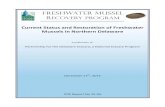 Current Status and Restoration of Freshwater Mussels in ......2 Current Status and Restoration of Freshwater Mussels in Northern Delaware, PDE Report 15- 04 conditions, ranging from
