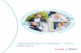 Sustainability at a Glance – 2015 CWS-boco · CWS-boco_CbI_CR-Report_Kurzversion_2015_A5_EN.indd 5 09.12.15 12:26 Our areas of action Resulting from our materiality analysis and