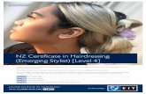 NZ Certificate in Hairdressing (Emerging Stylist) [Level 4] · 2020-04-28 · NZ Certificate in Hairdressing (Emerging Stylist) Level Level 4 Credits 120 Length One year full-time