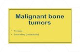Malignant bone tumors - كلية الطب · Primary bone cancer Risk factors: 1. Radiotherapy & chemotherapy 2. Paget's disease 3. Family Hx (hereditary retinoblastoma) Signs & symptoms