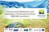 Constructed Wetlands and Sanitation: Field returns from DREAM … Constructed Wetlands... · 2014-05-25 · -Jean Voisin builds constructed wetlands for domestic wastewater treatment