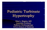 Pediatric Turbinate Hypertrophy NShapiro 4-22-09 1. Pang YT, Willatt DJ. Laser reduction of inferior