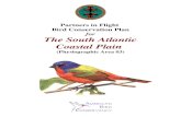 Partners in Flight Bird Conservation Plan for The South ... · The South Atlantic Coastal Plain, one of four coastal pla in divisions recognized by Partners in Flight, is an extensive