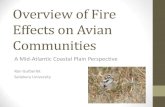 Overview of Fire Effects on Avian Communities€¦ · Overview of Fire Effects on Avian Communities A Mid-Atlantic Coastal Plain Perspective Ron Gutberlet ... The Role of Disturbance