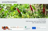 Concept note Chili farming, post harvest handling …...Chili farming, post harvest handling and market information The search for better ideas Access2Innovation offers your company