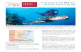 A VOYAGE TO BELIZE - University Advancement · 2018-09-12 · A Voyage to Belize: Wildlife, Reefs & Rivers 6 DAYS / 5 NIGHTS CAT. 1 CAT. 2 CAT. 3 CAT. 4 CAT. 5 SUITE CAT. 1 SOLO CAT.