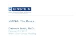 shRNA: The Basics Einstein Presentation Title...2012/02/29  · Einstein Presentation Title Albert Einstein College of Medicine Presentation Subtitle shRNA: The Basics! Deborah Smith,