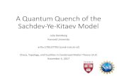 A Quantum Quench of the Sachdev-Ye-KitaevModel 17... · 2017-11-14 · A Quantum Quench of the Sachdev-Ye-KitaevModel Julia Steinberg Harvard University arXiv:1703.07793 [cond-mat.str-el]