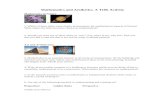Mathematics and Aesthetics€¦ · Web viewMathematics and Aesthetics. A TOK Activity Mathematics in Nature to 1. Which of these slides most clearly demonstrates the mathematical