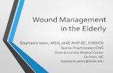 Wound Management in the Elderly - Statewide Program for ... · Clinical Guide to Skin & Wound Care (7th ed.). Philadelphia: Lippincott Williams & Wilkins. 4. National Pressure Ulcer