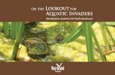 On The Lookout For Aquatic Invaders - California …...bait into the water or release aquatic animals from one water body into another. Gardeners, hikers, and watershed stewards •