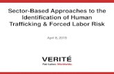 Sector-Based Approaches to the Identification of Human Trafficking & Forced Labor …sites.nationalacademies.org/cs/groups/dbassesite/... · 2020-04-13 · Identification of Human