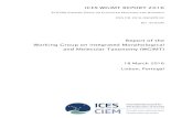 Report of the Working Group on Integrated Morphological ... Reports/Expert... · shop, SAHFOS-MBA Zooplankton Taxonomy Workshop, exemplifying the WGIMT integrative taxonomic approach