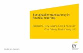Sustainability transparency in financial reportingfile/...Sustainability transparency in financial reporting Facilitators: Terry Hudgins, Ernst & Young LLP Chris Doherty, Ernst & Young