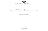 Malleus fracture - DiVA portal1292833/FULLTEXT01.pdf · Malleus fracture Experimental and clinical aspects Anders Niklasson Clinical Science, Otorhinolaryngology Umeå 2019