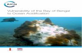 Vulnerability of the Bay of Bengal to Ocean Acidiﬁcation · 2016-03-03 · Vulnerability of the Bay of Bengal to Ocean Acidification 01 1. Introduction 1.1. Background Human emissions