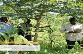 Farmer field school under Trees for ... - | World Agroforestry · sequestration. The majority of carbon projects in sub -Saharan Africa are offered only for forestation (affo restation