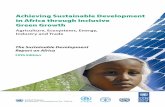 Achieving Sustainable Development in Africa through ... · 8.2 Trends in inclusive green growth in the industry sector 162 8.3 Challenges and opportunities 166 8.4 Conclusion and