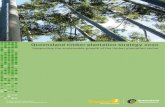 Queensland Timber Plantation Strategy 2020 - …...Queensland timber plantation strategy 2020 Supporting the sustainable growth of the timber plantation sector v Contents Minister’s
