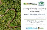 Forest-based solutions in the tropics for combating ...redd.ffpri.affrc.go.jp/events/seminars/_img/... · ^Together Towards Global Green Supply Chains 22–25 October 2019, Shanghai