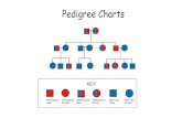 Pedigree Charts - Weeblymarandoscience.weebly.com/uploads/2/3/7/6/23768555/... · 2019-01-15 · Pedigree Charts. What is a pedigree? •a chart of the genetic history of a family