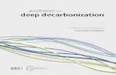 pathways to deep decarbonization · development and deep decarbonization can be met. This comprehensive analysis will form the basis of a report that will be completed in the first