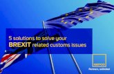 5 solutions to solve your BREXIT related customs …...6 After Brexit, crossing the border will affect the fluidity of your business if all obligations and regulations are not met.