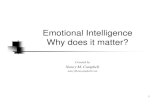 Emotional Intelligence Why does it matter? · Emotional Intelligence and Success ... EQ’s relevance to success is estimated to high ... Low scores identify skills that need to be