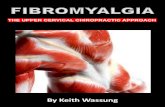 THE UPPER CERVICAL CHIROPRACTIC APPROACH€¦ · Fibromyalgia was 13 times more frequent following neck injuries than following lower extremity injuries. 19 Why do so many people