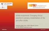 SENSe Implement: Changing clinical practice in sensory ...€¦ · 1. To improve the outcomes for stroke survivors with sensory impairment • 2. To develop a template for implementation