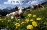 Energy transfer - WordPress.comWasted energy spreads out into the surroundings –this is called dissipated energy. This dissipated energy is too spread out to do useful work and so