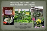 ddressing growers’ practical pest problemsentlab/Greenhouse IPM/Workshops... · Labor (planting, watering, rotating, etc.) Could harbor non-target pests Monitoring essential! Timing