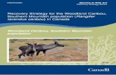 Woodland Caribou, Southern Mountain population (Rangifer ... · Environment Canada. 2014. Recovery Strategy for the Woodland Caribou, Southern Mountain population (Rangifer tarandus
