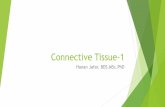 Connective Tissue-1...Introduction Connective tissue provides a matrix that supports and physically connects other tissues and cells together to form the organs of the body. Unlike